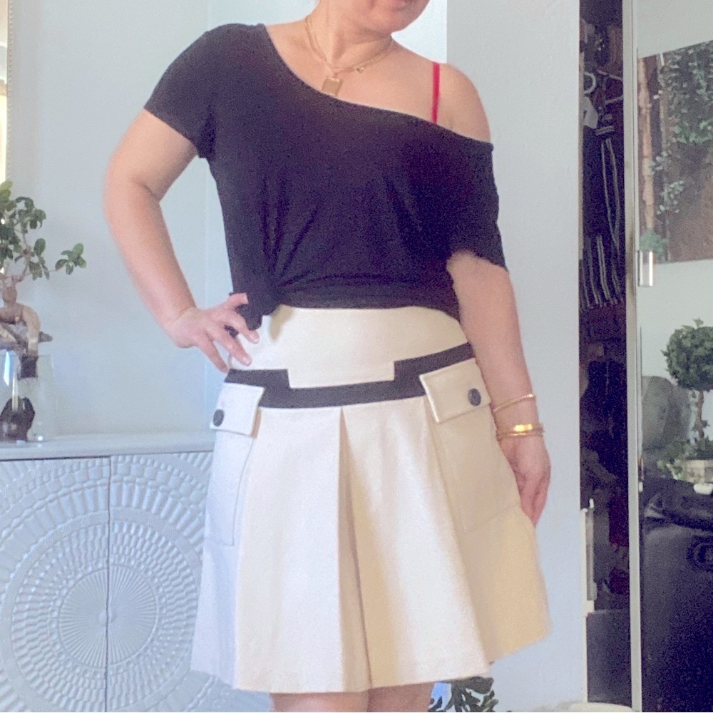 Diane von furstenburg skirt